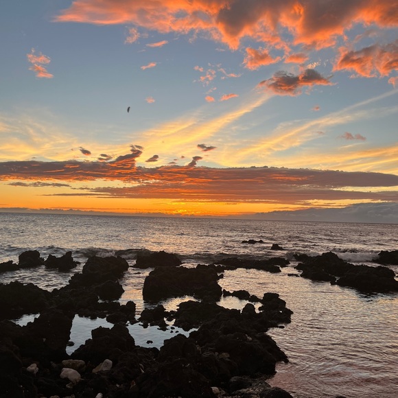 Meet your Posher, Megg - Picture 2 of 7